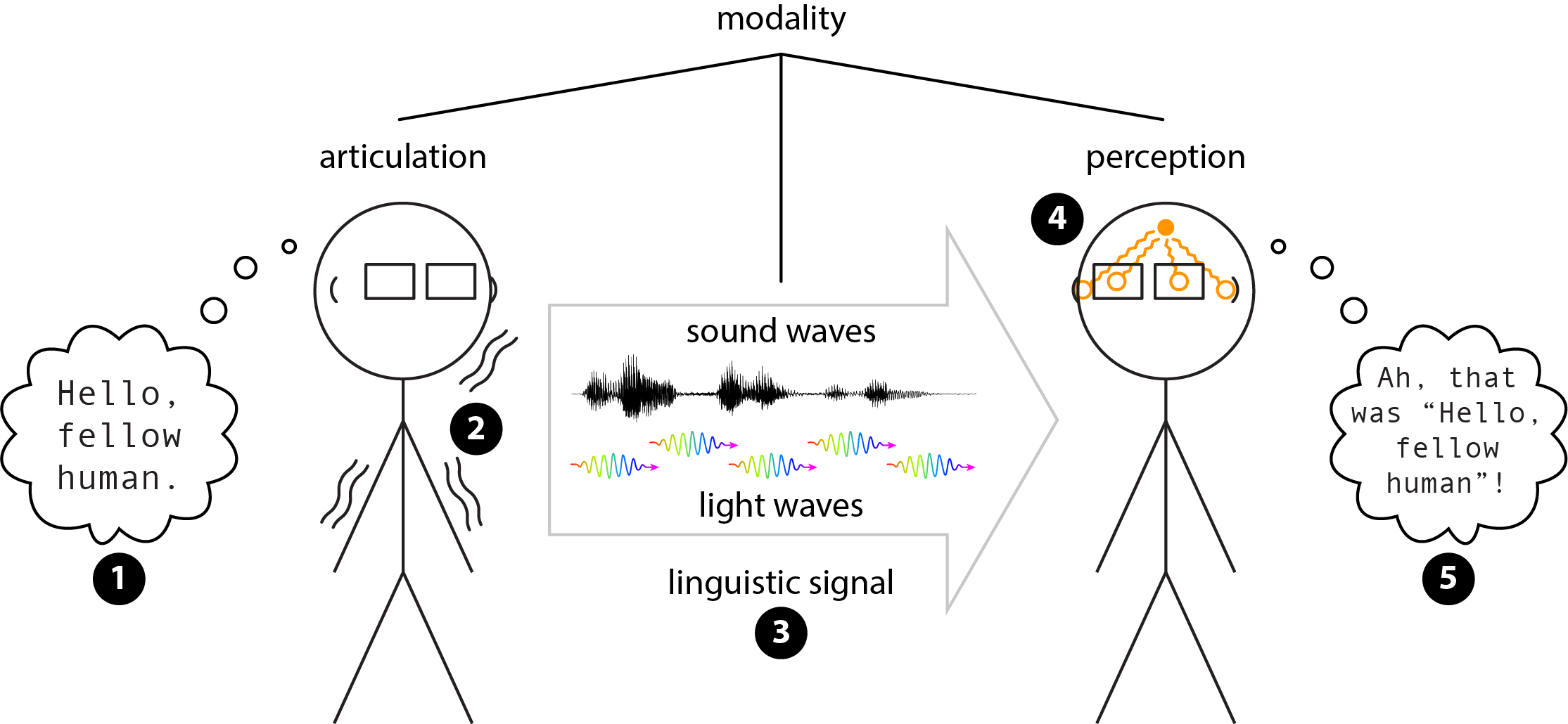 Two stick figures. The figure on the left has a thought bubble saying “Hello, fellow human”, which is labelled as step 1. The left figure itself has wiggly lines near its mouth and arms to indicate motion. These are labelled as step 2, articulation. Pointing away from the left figure and towards the right figure is a large outlined arrow, labelled as step 3, linguistic signal. Inside the arrow is a row of sound waves and a row of rainbow light waves. The figure on the right has orange circles on its eyes and ears, with orange wavy lines leading from the circles to the brain, labelled at step 4, perception. The right figure has a thought bubble saying “Ah, that was ‘Hello, fellow human’!”, labelled as step 5. An overall branching structure at the top connects from the word modality down to the articulation figure on the left, the linguistic signal in the middle, and the perception figure on the right.