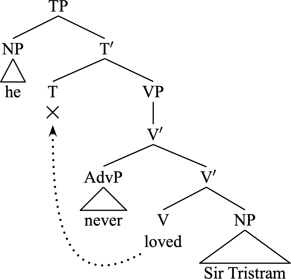 [TP he [T′ T [V′ [AdvP never ] [V′ [V loved ] [NP Sir Tristam ]]]]]] with x-ed V-to-T arrow