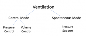 Ventilation is split into two branches: (1) control mode, which is further split into (a) pressure control and (b) volume control; and (2) spontaneous mode, which is always pressure support.