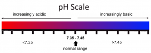 The pH scale with ranges (numbers) added for normal (7.35-7.45), acidic (7.45)