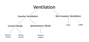 Ventilation is split into two branches: (1) invasive ventilation, and (2) non-invasive ventilation.ure support.