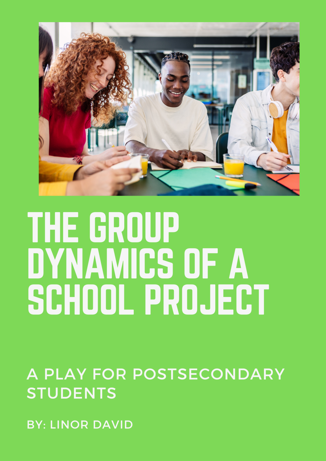 Cover image for The Group Dynamics of a School Project