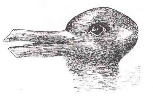 An image that people may interpret as a rabbit or as a duck