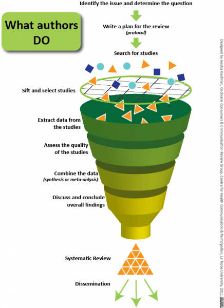 The Systematic REview Process
