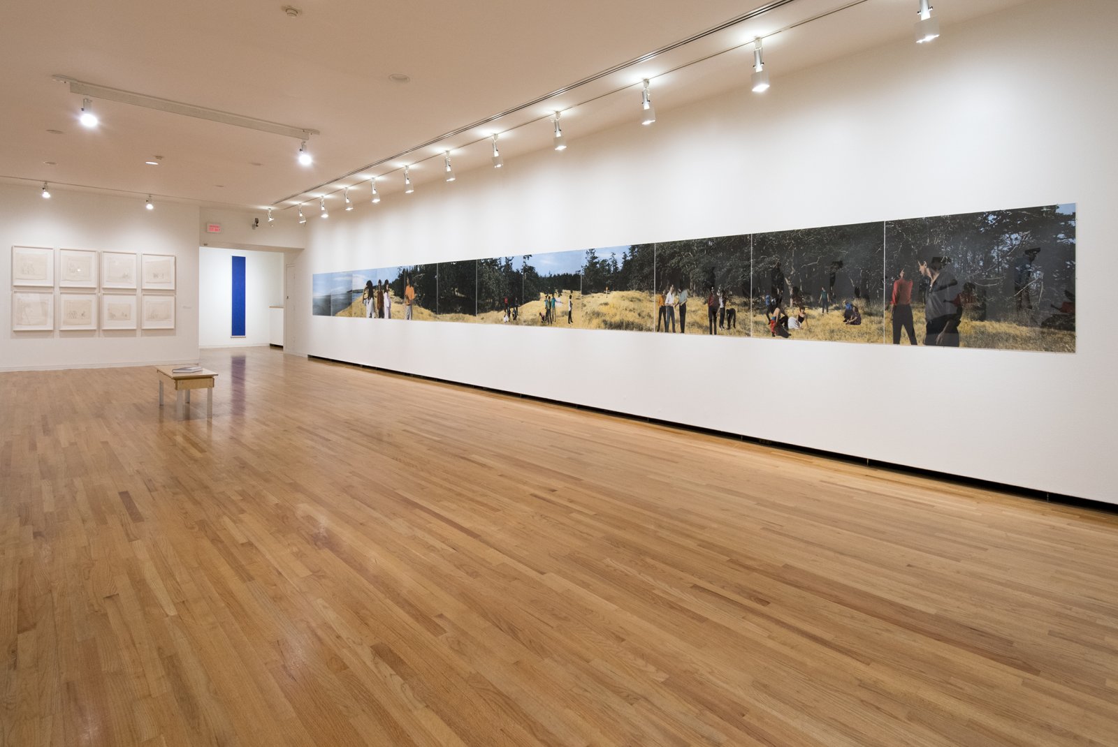 A series of thirteen photographs joined together to form a long panoramic view of a clifftop with people and trees; it takes up an entire gallery wall.
