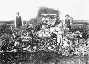 A black and white photograph of harvested vegetables displayed in a farm field. Two white men, dressed in white shirts, dark vests and brimmed hats stand on either side of a very large quantity of vegetables piled as tall as the men.