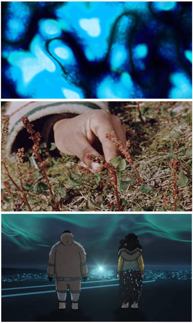 Three film stills. The top is blue wavy patterns. The middle is a hand picking part of a plant. The third is an animation of two figures with backs to us overlooking a lit city at night.