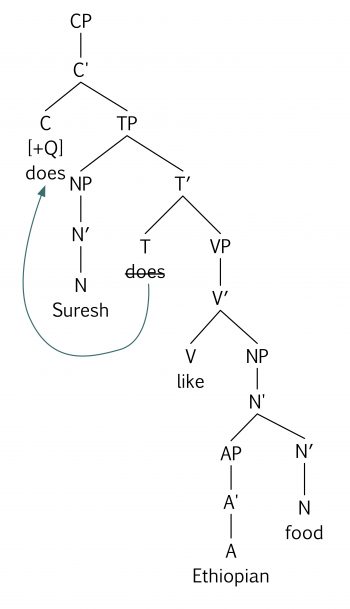 Keys – Essentials of Linguistics