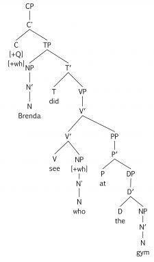 8.10 Wh-movement – Essentials Of Linguistics