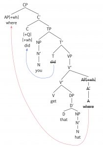 Keys – Essentials of Linguistics