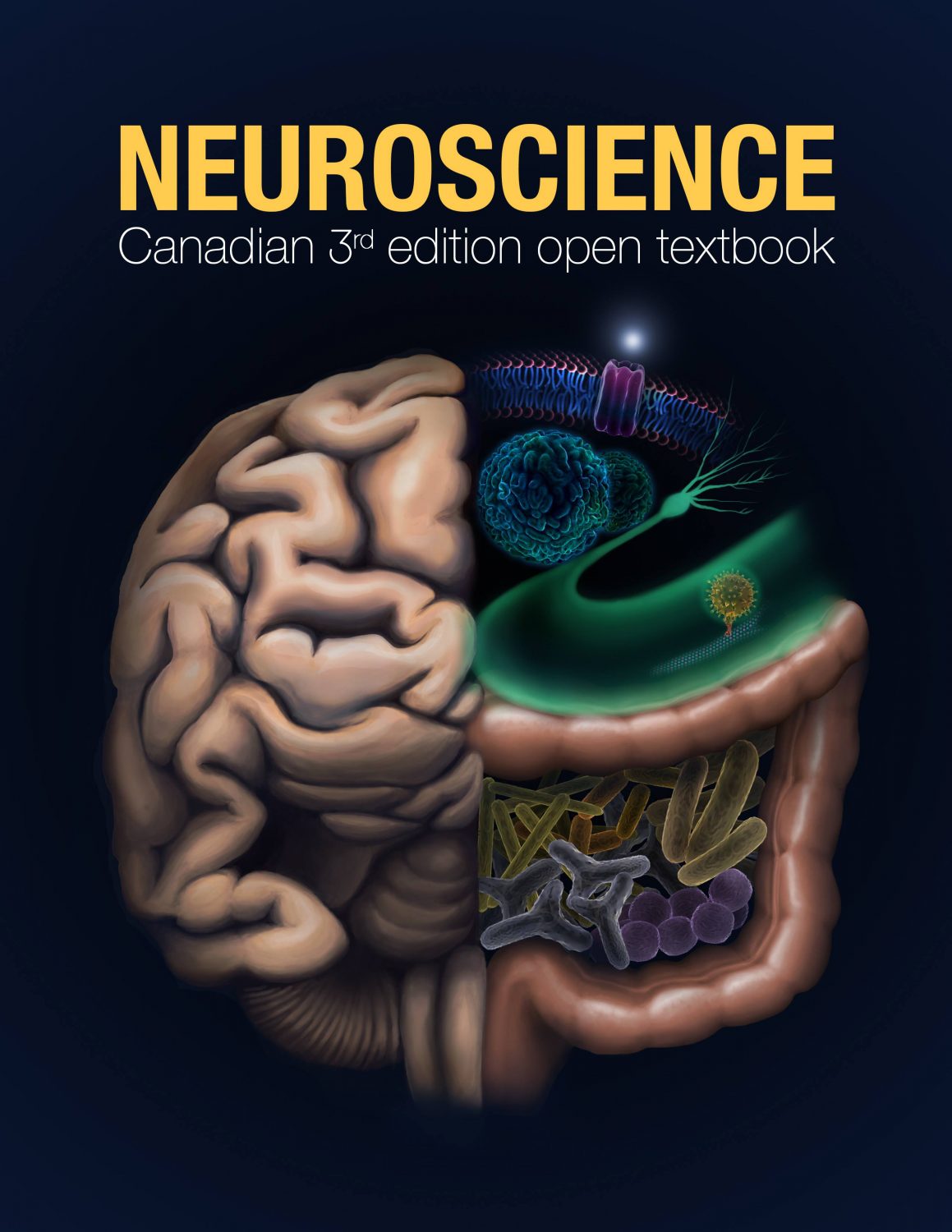 Cover image for Neuroscience: Canadian 3rd Edition