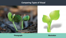 Using Visuals – Professional Communications