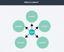 Cross-Cultural Communication – Professional Communications