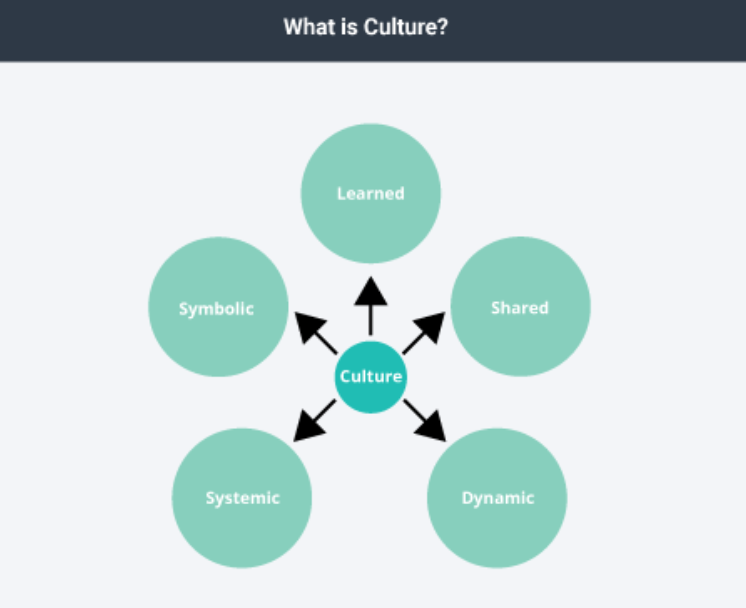 What is Culture. Межкультурная коммуникация картинки. Notion of Culture. Custom Culture фирма.