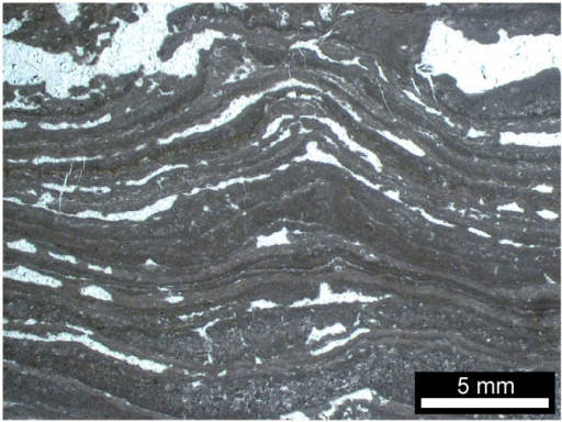 Photograph of a rock formation dated to 3.4 billion years ago containing what look like strata, thought to be layers of photosynthetic, fossilized bacteria.