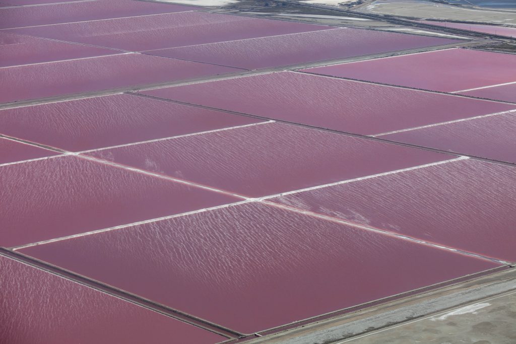Photo of sea water-evaporating ponds in France. The water is bright pink due to the growth of halobacteria. The colour comes from the retinal pigment in the membrane-bound bacteriorhodopsin.
