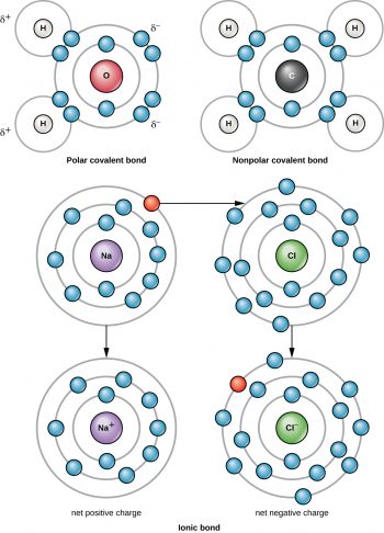 Appendix A| Fundamentals of Physics and Chemistry Important to ...