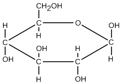 The chemical structure of glucose.