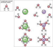 Appendix A| Fundamentals of Physics and Chemistry Important to ...