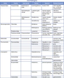 Appendix D| Taxonomy of Clinically Relevant Microorganisms ...