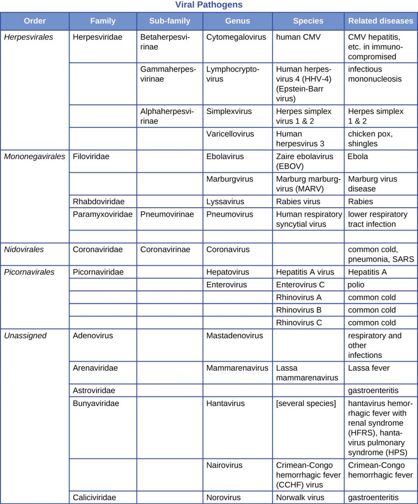 A table summarizing viral pathogens.
