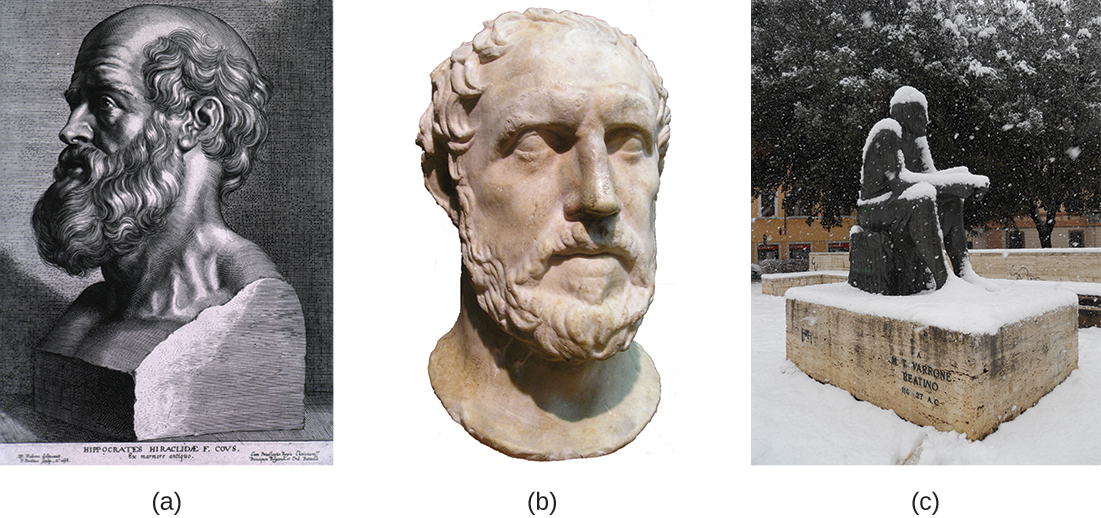 Figure a is a drawing of a bust of Hippocrates. Figure b is a photo of a sculpture of Thucydides’s head. Figure c is a photo of a sculpture of Marcus Terentius Varro.