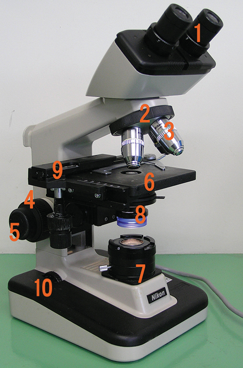 A photo of a microscope is shown. The base contains a light source (#7) and a knob (#10). Attached at one end of the base is an arm with a projection to hold the specimen (#9). The centre of #9 has an opening to allow light through. Below this opening are #6 & #8 (6 is above 8). Above this opening are four lenses (#3) attached to #2. Above the objective is #1. Attached to the bottom of the stage are two knobs (#9). On the arm below the stage are two knobs: #4 is larger than #5.