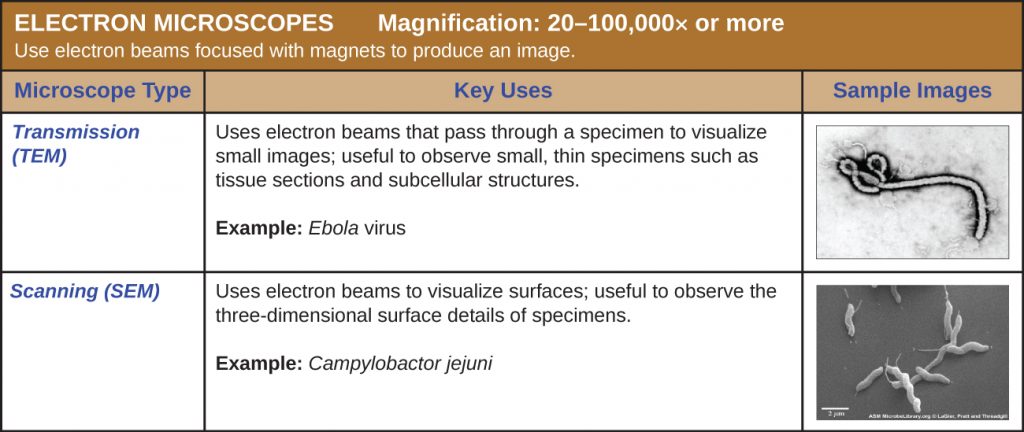 Table of transmission and scanning electron microscopes. These microscopes use beams of electrons focused with magnets to produce an image. Magnification: 20–100,000-fold or more.