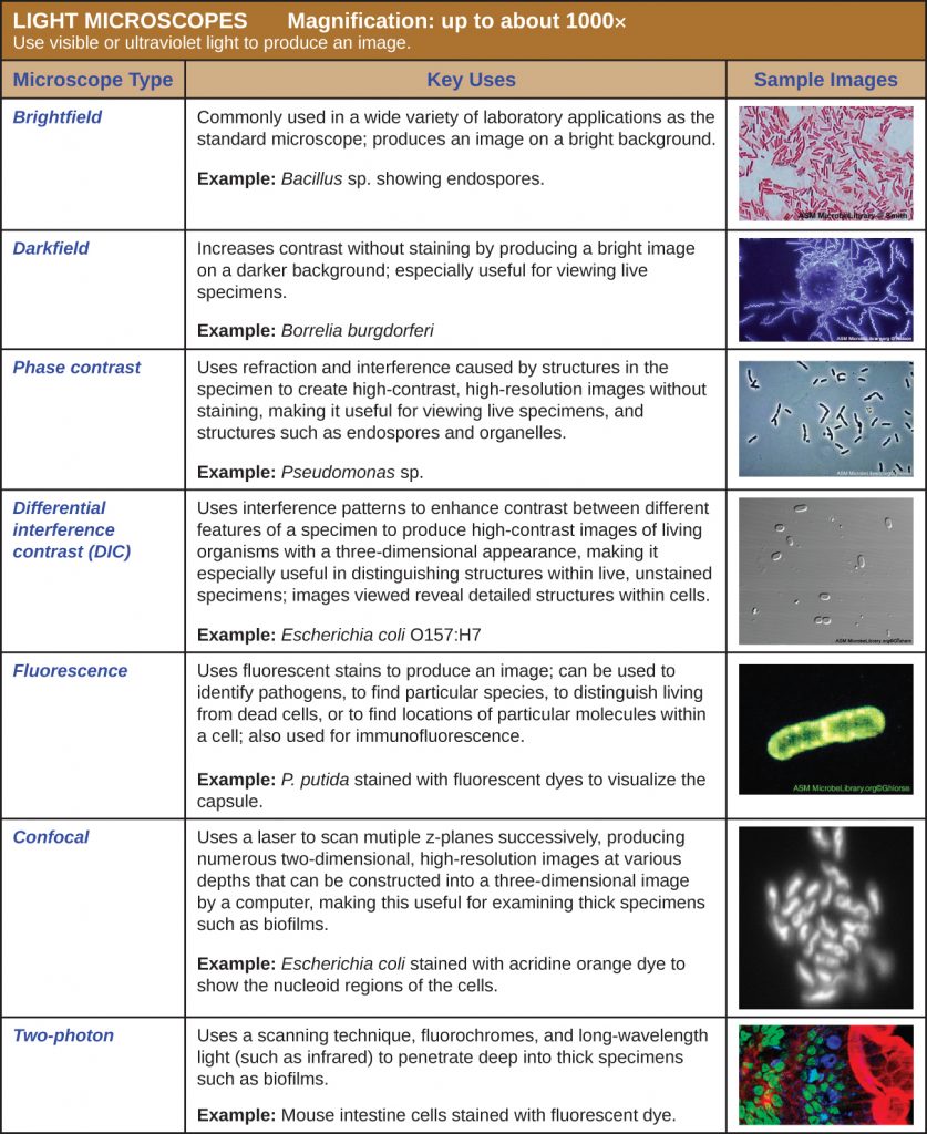 Instruments Of Microscopy Microbiology