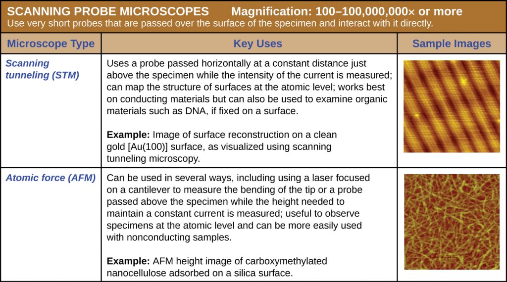 A summary table of scanning probe microscopes. These use very sharp probes that are passed over the surface of the specimen and interact with it directly. Magnification: 100–100,000,000 fold or more.