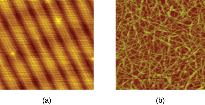 In this image, multiple species of bacteria grow in a biofilm on stainless steel (stained with DAPI for epifluorescence miscroscopy). (credit: Ricardo Murga, Rodney Donlan)