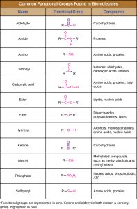 7.1 Organic Molecules – Microbiology: Canadian Edition