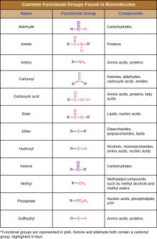 7.1 Organic Molecules – Microbiology: Canadian Edition