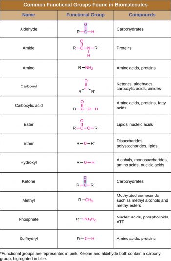 7.1 Organic Molecules – Microbiology: Canadian Edition