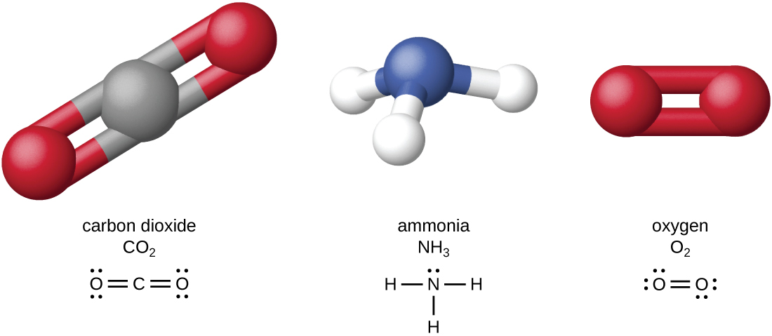 Аммиак кислород азот. Oxygen Carbon dioxide. Nitrogen and Oxygen and Ammonia. Аммиак и диоксид углерода. Co2 состав.