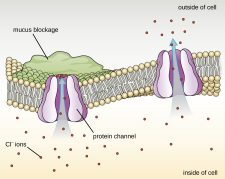 7.4 Proteins – Microbiology: Canadian Edition