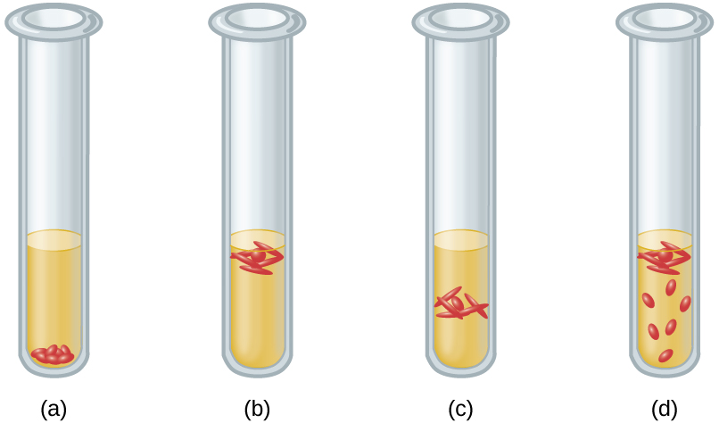 9.4 Oxygen Requirements for Microbial Growth – Microbiology: Canadian ...