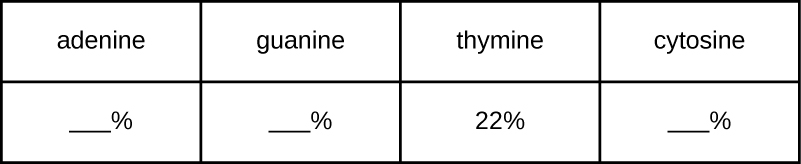 A DNA strand has 22% thymine. The percentages for adenine, guanine, and cytosine are blank.