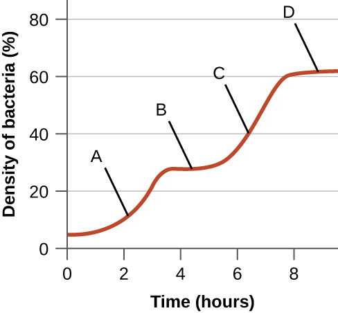A graph with time (hours) on the X axis and density of bacteria on the Y axis. An upward slope is labeled A. Next, is a plateau labeled B. Next is an upward slope labeled C. And finally is a plateau labeled D.