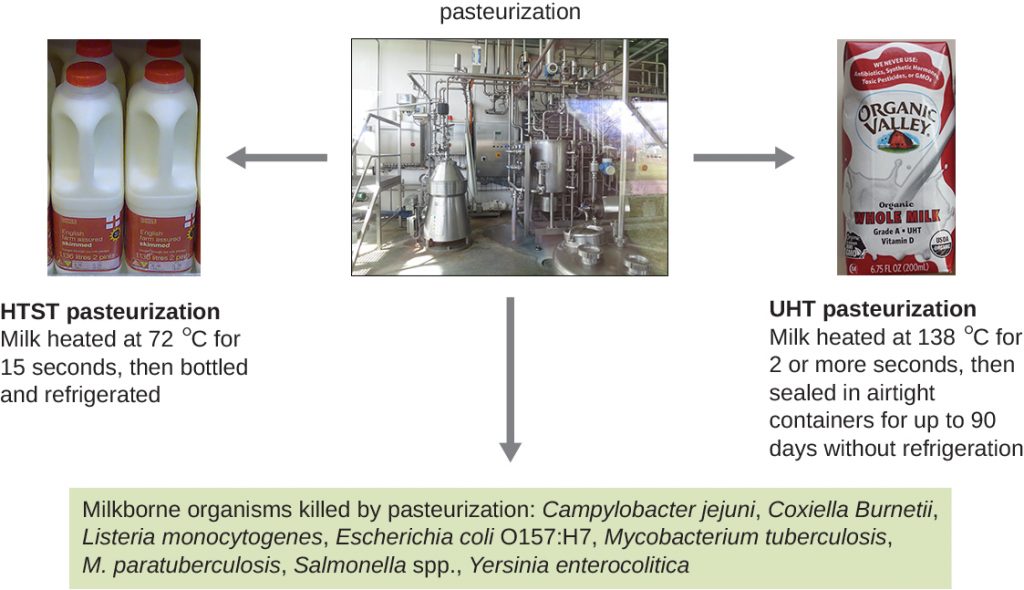 Photographs of pasteurization machinery and two products pasteurized using either the HST or the UHT process.