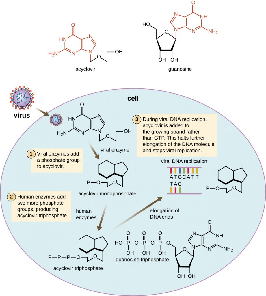 Diagram depicting the function of the antiviral drug acyclovir.