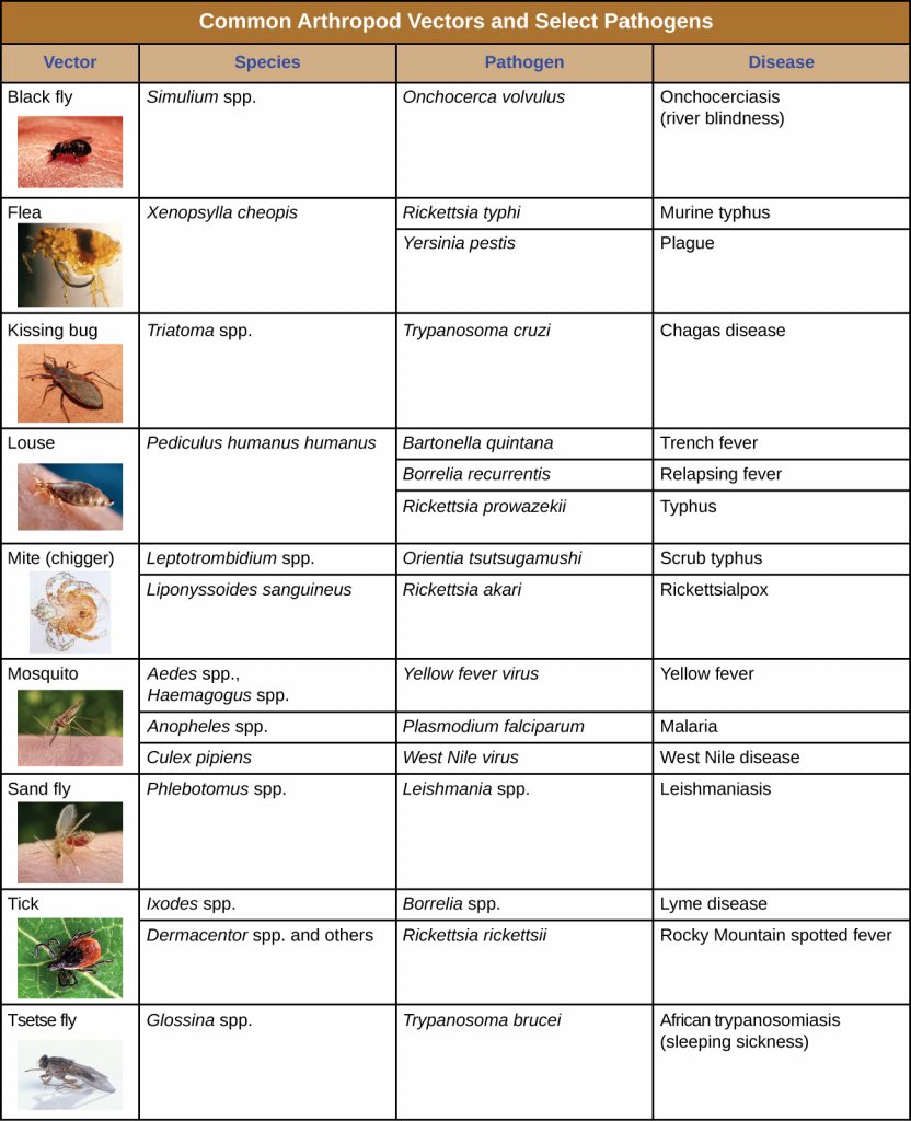 Table summarizing common arthropod vectors and selected pathogens.