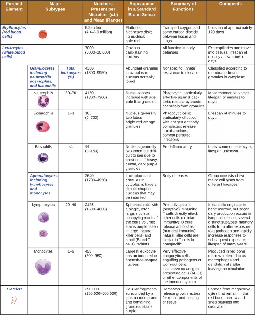 A table comparing the characteristics of the differing types of blood cell.