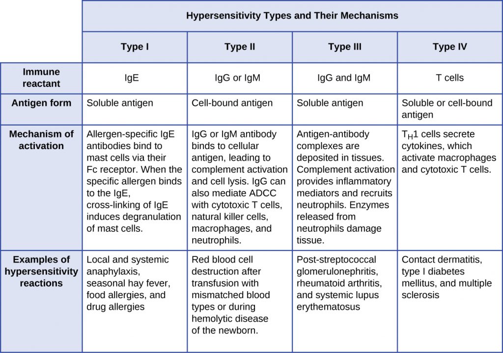 Table summarizing four types of hypersensitivities.