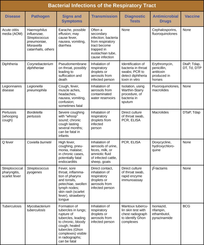 Table summarizing bacterial infections of the respiratory tract.