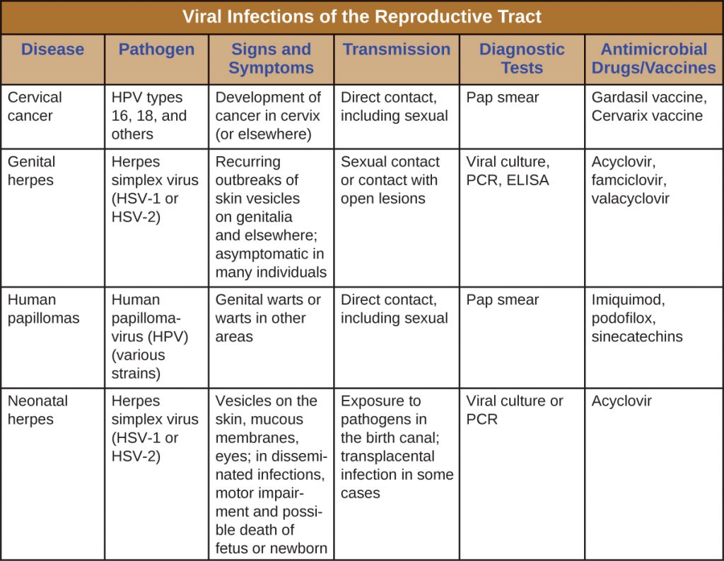 Table summarizing viral infections of the reproductive tract including signs and symptoms, mode of transmission, diagnostic tests and treatment or vaccines