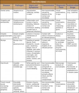 25.2 Microbial Diseases of the Mouth and Oral Cavity – Microbiology ...