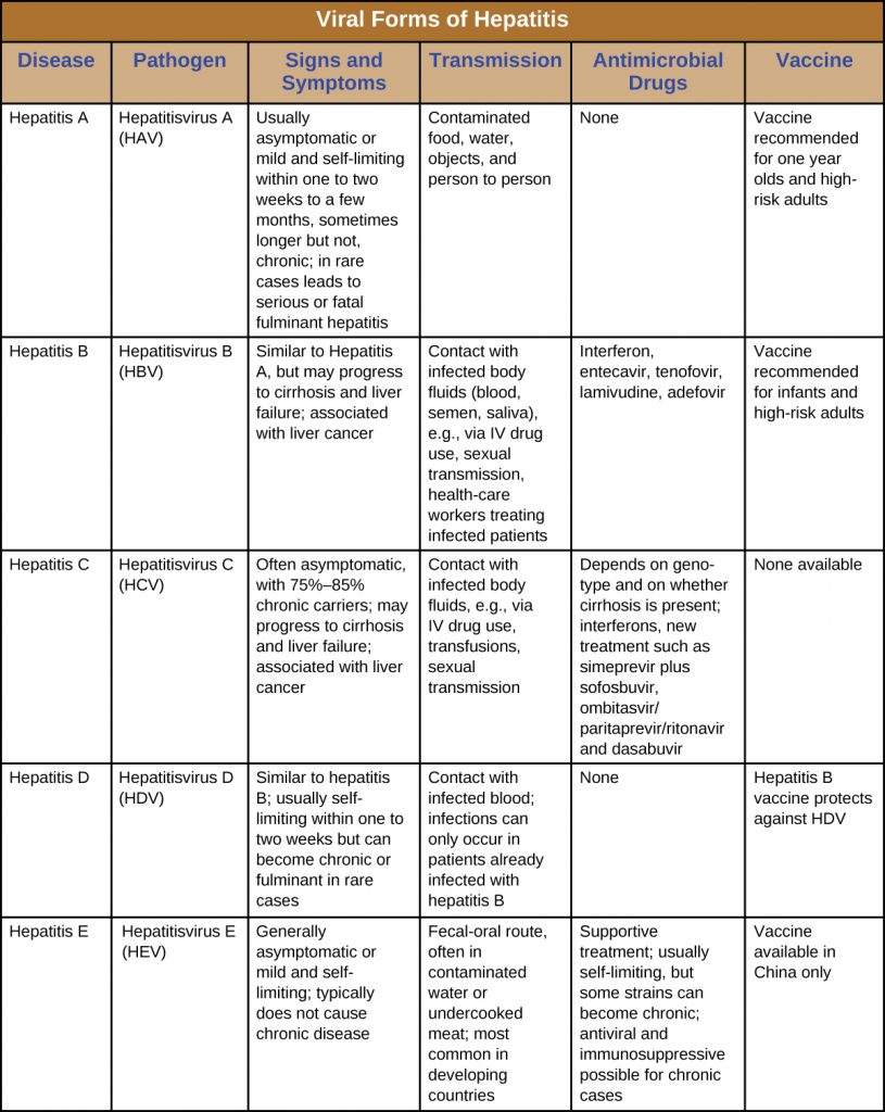 Table summarizing the viral forms of hepatitis including signs and symptoms, modes of transmission, treatment and vaccines