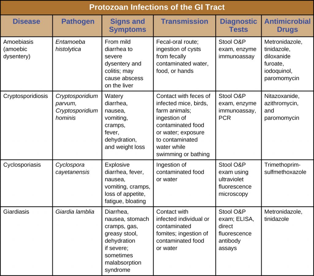 Table summarizing protozoan infections of the GI Tract inclulding signs and symptoms, modes of transmission, diagnostic tests and treatment