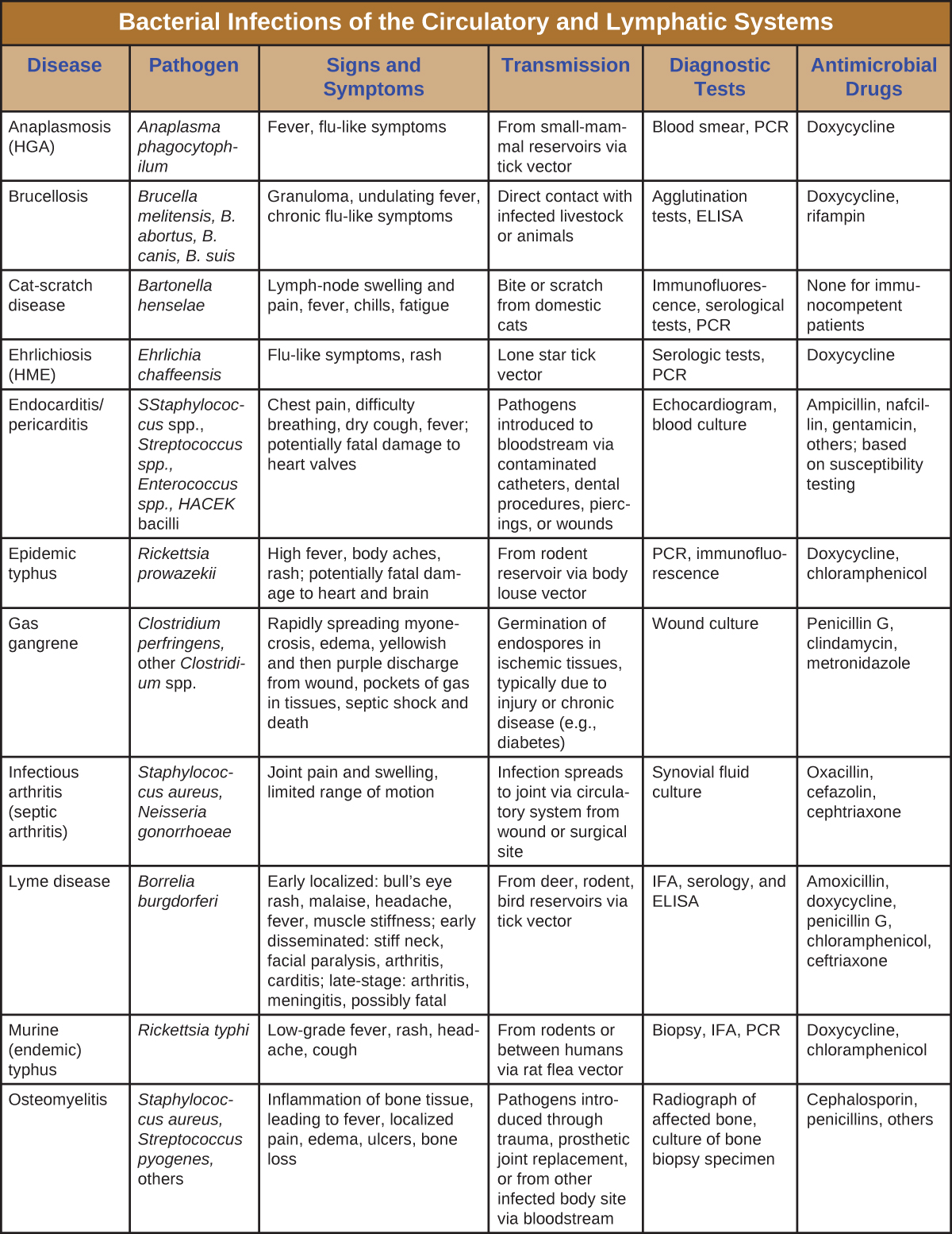 Table summarizing bacterial infections of the circulatory and lymphatic systems